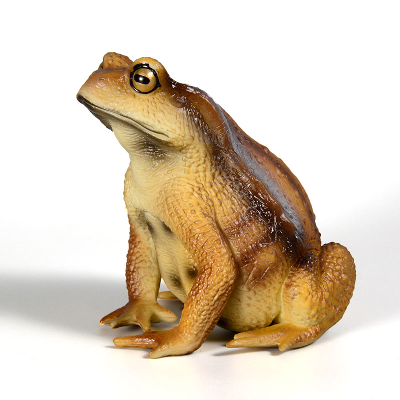 Amphibian Frog Figure Insect M - Kids First Education recension och pris