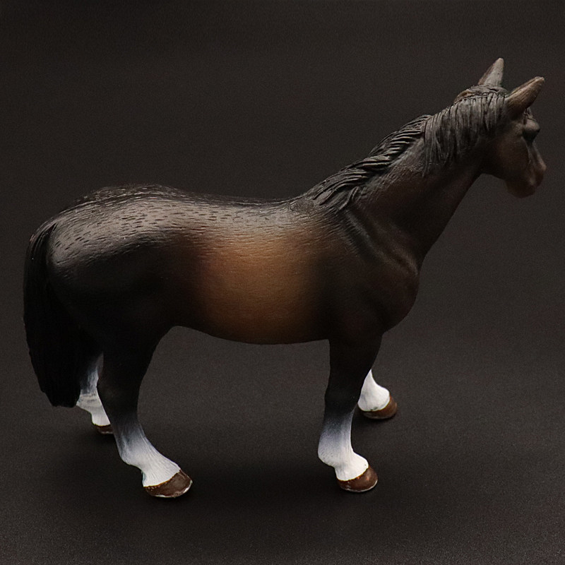 Clydesdale Hanoverian Quatema  - Kids First Education recension och pris