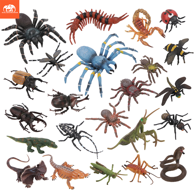 Educational Simulation Insect  - Kids First Education recension och pris